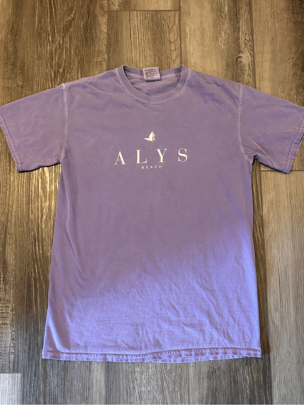 🌴Alys Beach🌴 Purple Comfort Colors Tee